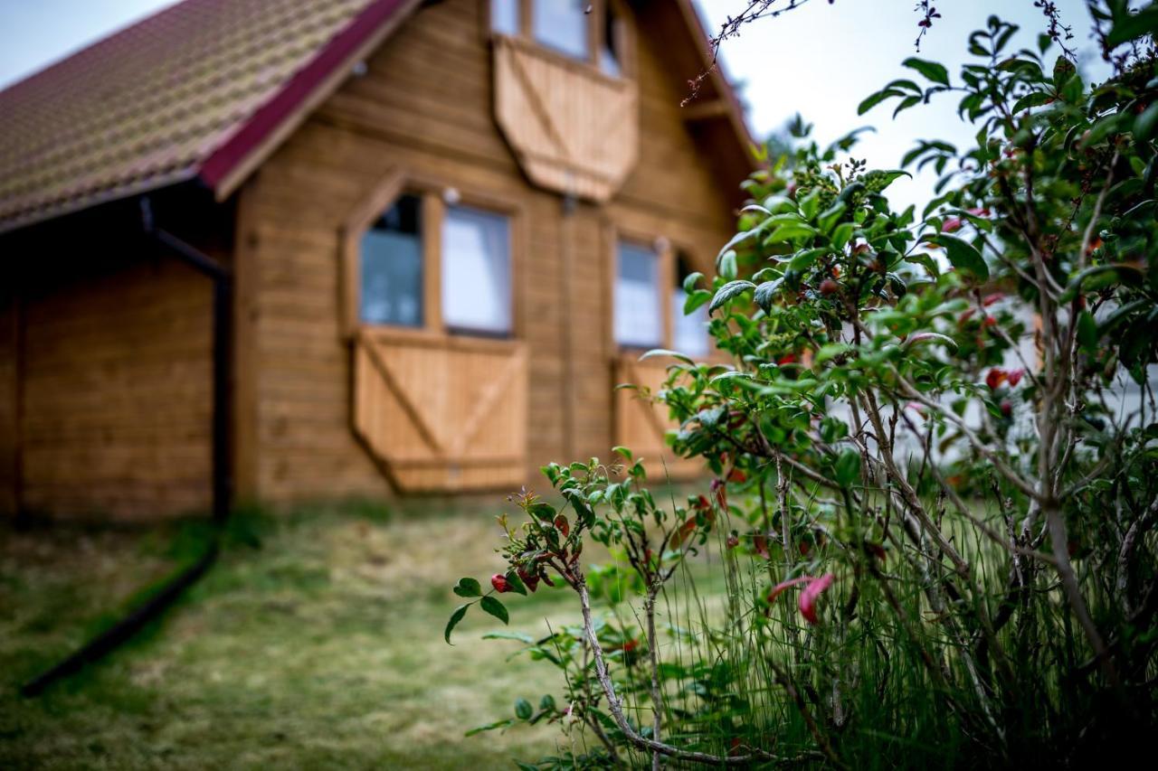 Villa Zastan Międzywodzie Dış mekan fotoğraf